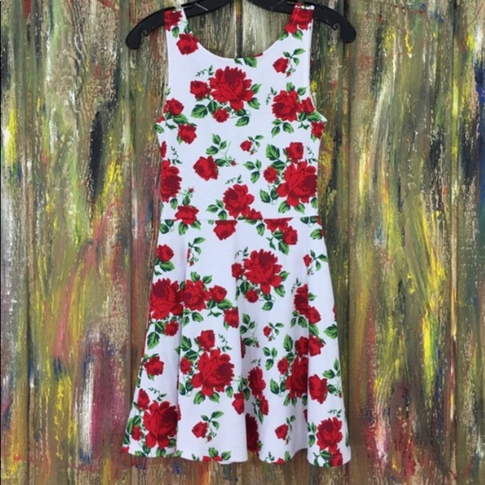 Rose Petal Tank style Dress
